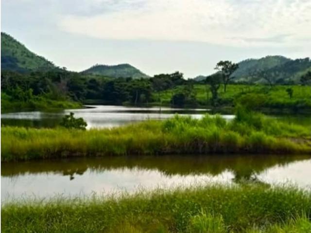 Finca en venta en Guárico