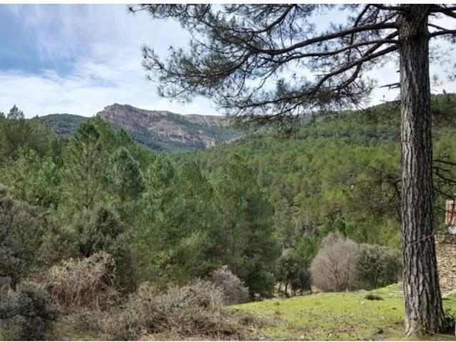 Local Comercial en venta en Santiago-pontones, Andalucía