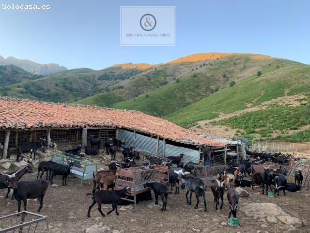 Casa en venta en Candeleda