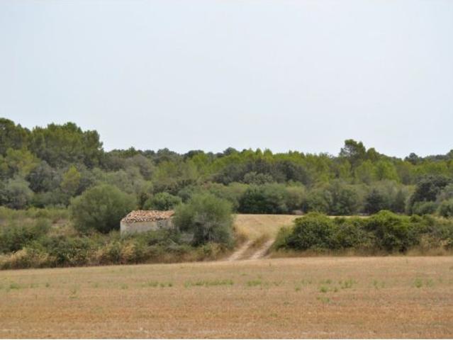 Local Comercial en venta en Pla de Mallorca, Baleares