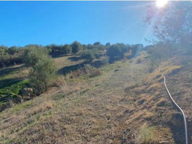 Local Comercial en venta en Sierra de las Nieves, Andalucía