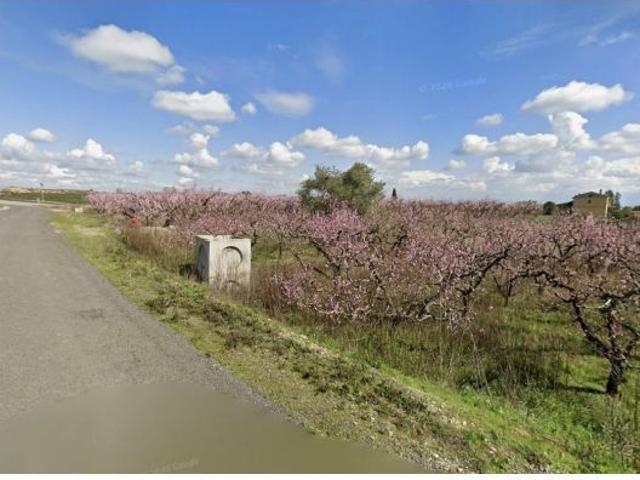 Local Comercial en venta en el Canyeret, Segrià