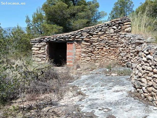 Local Comercial en venta en Baix Ebre, Catalunya