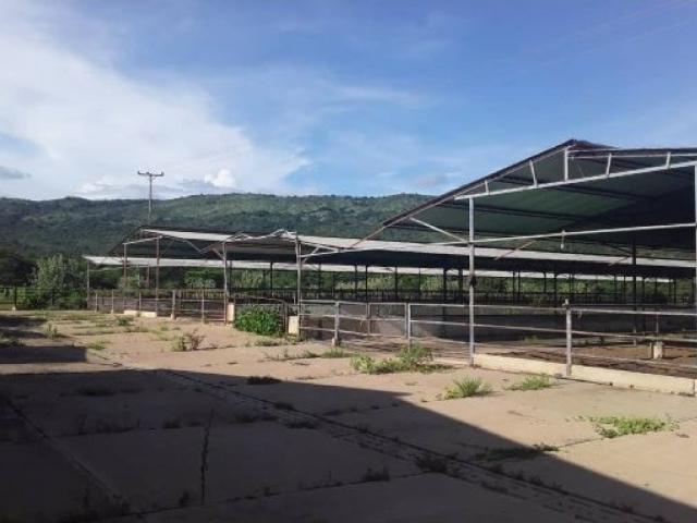 Finca en venta en Barcelona, Amazonas