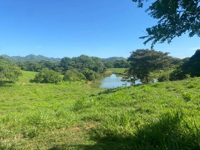 Terreno venta en Soná