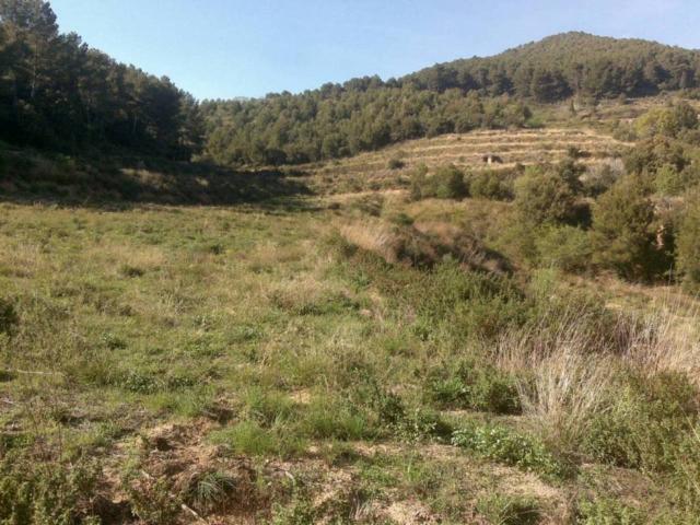 Terreno en venta en Baix Camp, Catalunya
