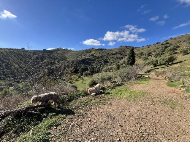 Finca en venta en Valle del Guadalhorce, Andalucía
