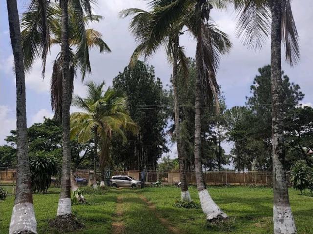 Finca en venta en Valencia