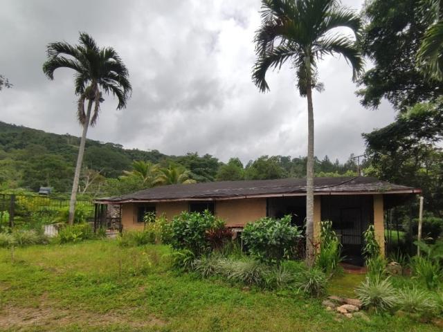 Finca en venta en Valencia