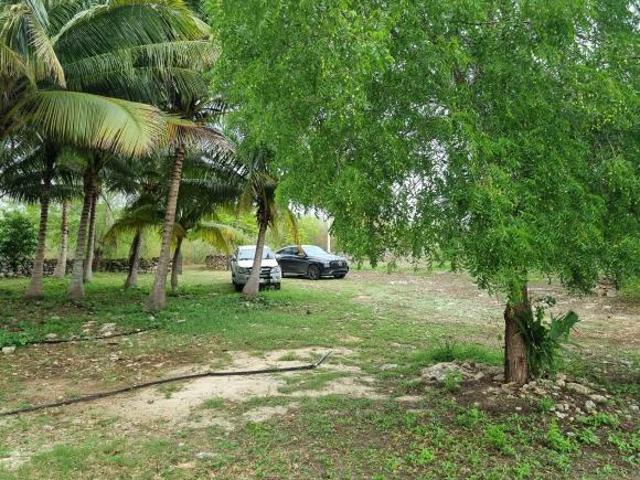 Rancho en venta en Yobaín, Yucatán