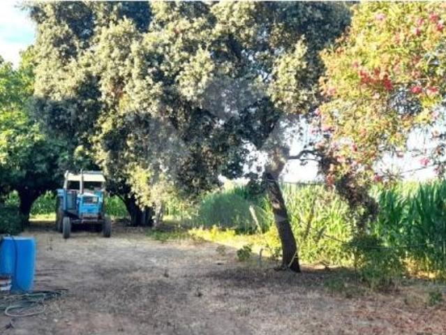 Casa en venta en San Roque, Tierra de Badajoz