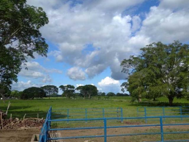 Finca en venta en Cojedes