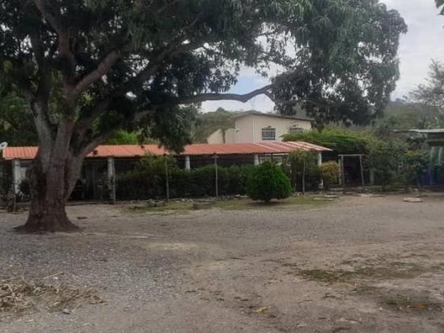 Terreno en venta en Acarigua, Portuguesa