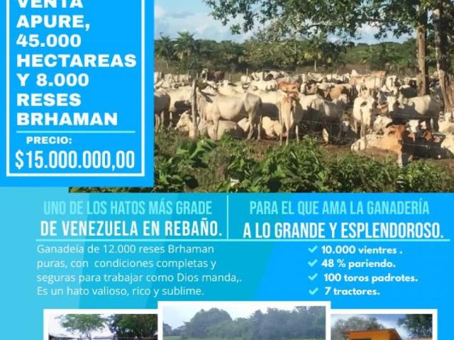 Terreno en venta en Sucre