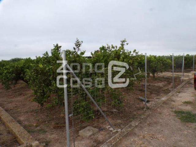 Finca en venta en la Ribera Baixa, Valencia