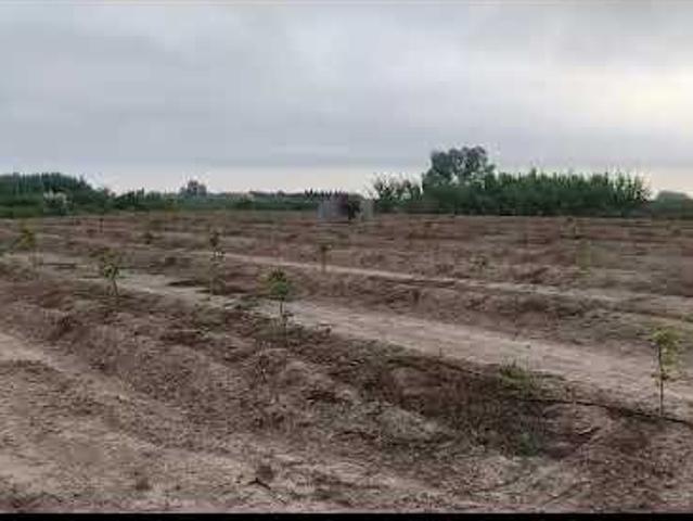 Finca en venta en la Ribera Baixa, Valencia