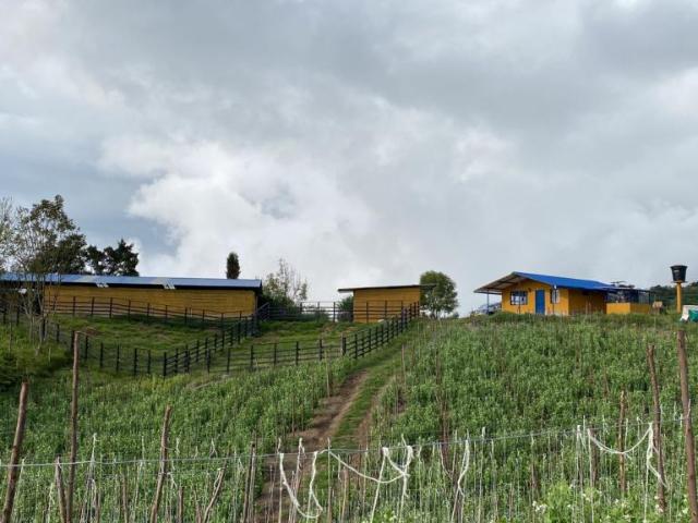 Finca en venta en Cundinamarca