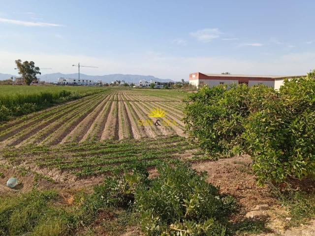 Finca en venta en Algorfa