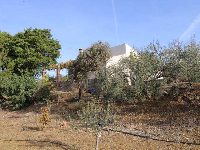 Finca en venta en Álora, El Puente