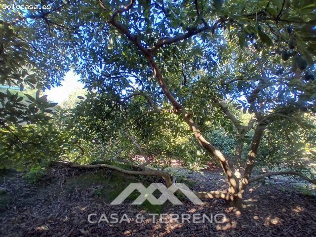 Casa en venta en Sierra de las Nieves, Andalucía