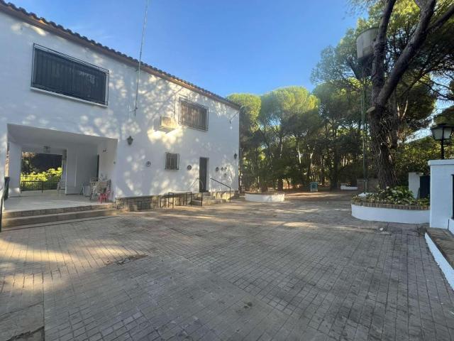Finca en venta en Andújar, Jaén
