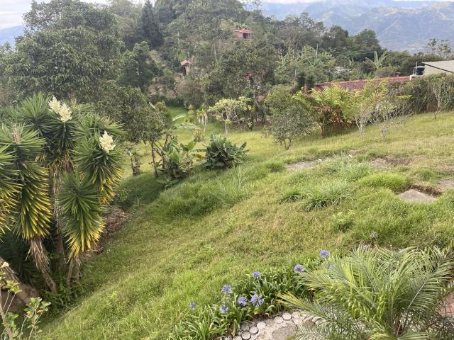 Finca En Venta En Anolaima V153153