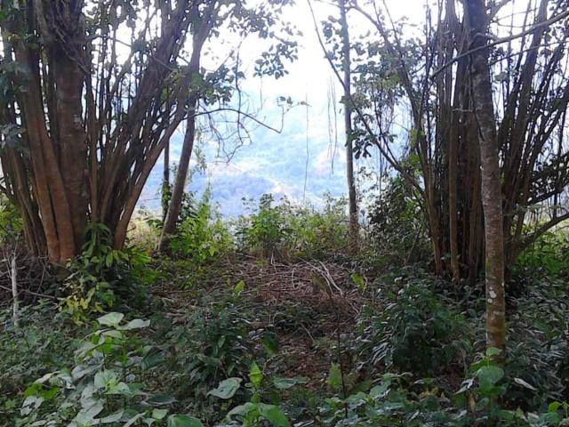 Finca En Venta En Anolaima V171161