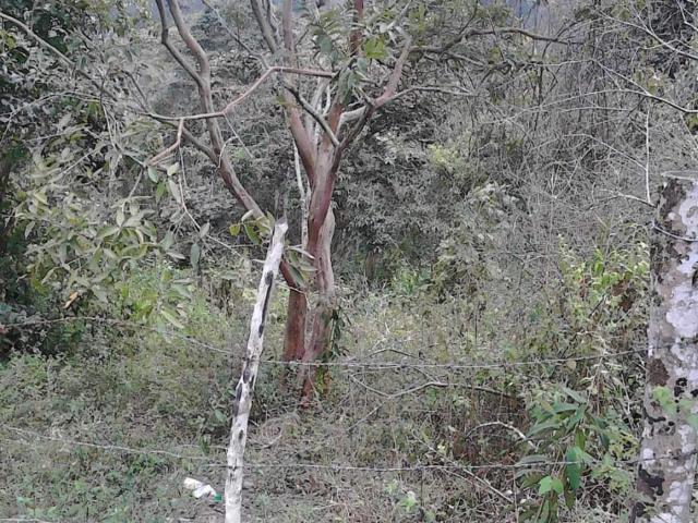 Finca En Venta En Anolaima V171161