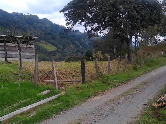 Finca En Venta En Anolaima V171161