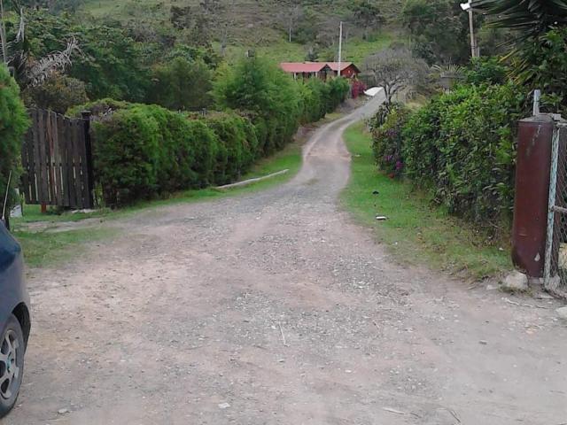 Finca En Venta En Anolaima V171161