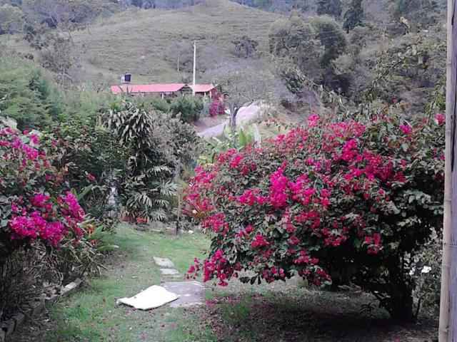 Finca En Venta En Anolaima V171161