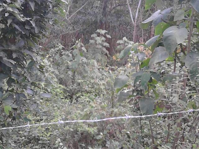 Finca En Venta En Anolaima V171161