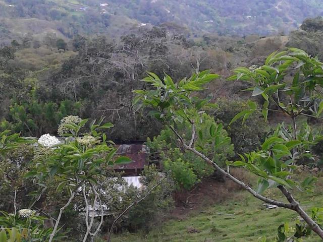 Finca En Venta En Anolaima V171161