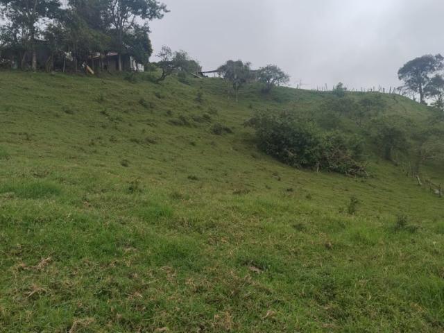 Finca En Venta En Anolaima V307961