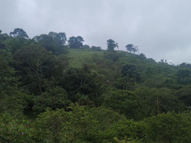 Finca En Venta En Anolaima V307961