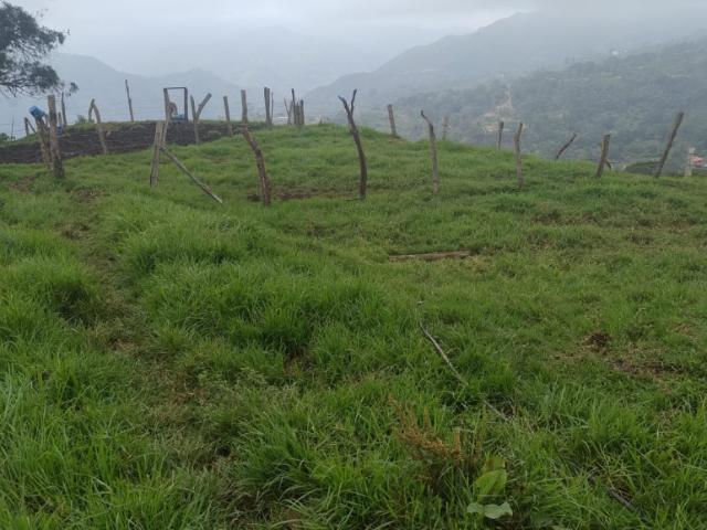 Finca En Venta En Anolaima V307961