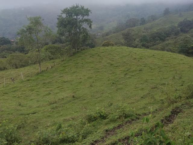 Finca En Venta En Anolaima V307961