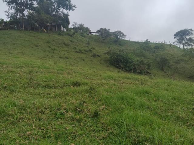 Finca En Venta En Anolaima V307961