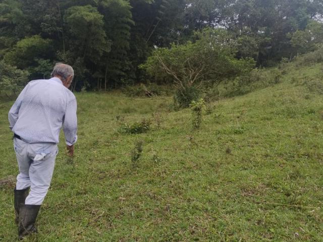 Finca En Venta En Anolaima V307961