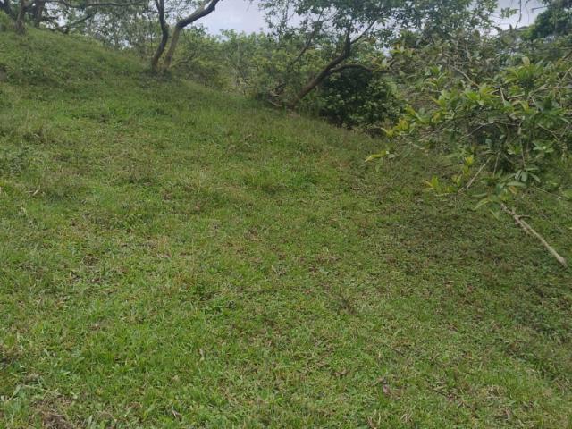 Finca En Venta En Anolaima V307961