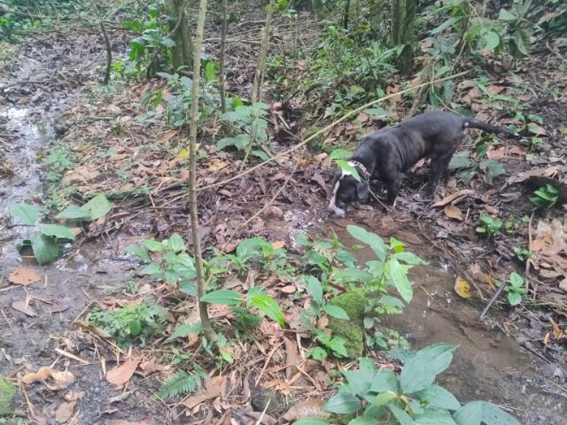 Finca En Venta En Anolaima V307961