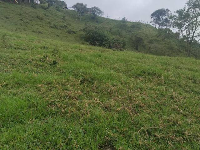 Finca En Venta En Anolaima V307961