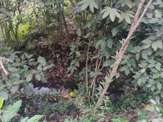 Finca En Venta En Anolaima V307961