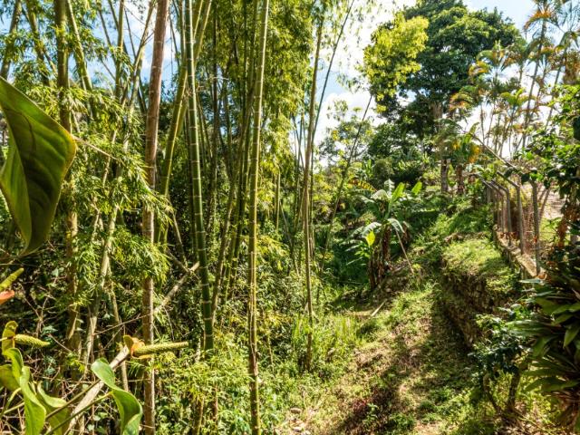 Finca En Venta En Arbelaez En. V246932