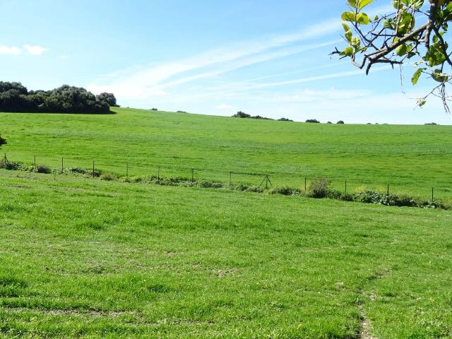 Finca en venta en Arcos De La Frontera
