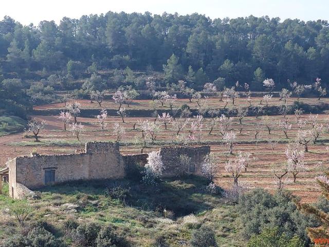 Finca en venta en Arens De Lledó