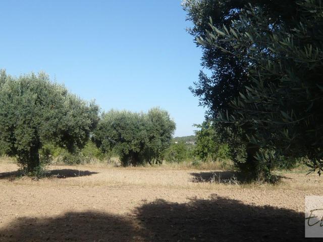 Finca en venta en Matarraña / Matarranya, Arens De Lledó