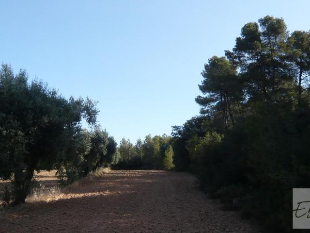 Finca en venta en Matarraña / Matarranya, Arens De Lledó