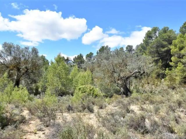 Finca en venta en Matarraña / Matarranya, Arens De Lledó