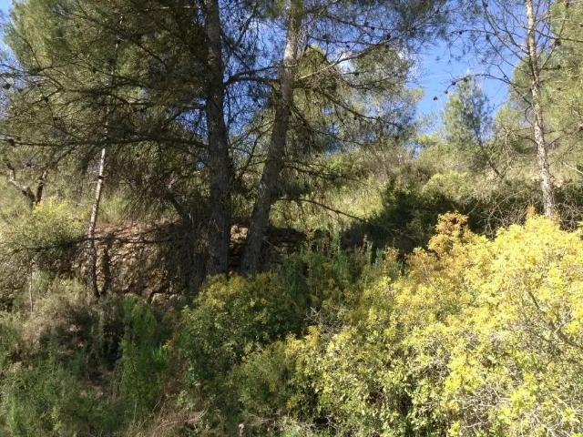 Finca en venta en Matarraña / Matarranya, Arens De Lledó